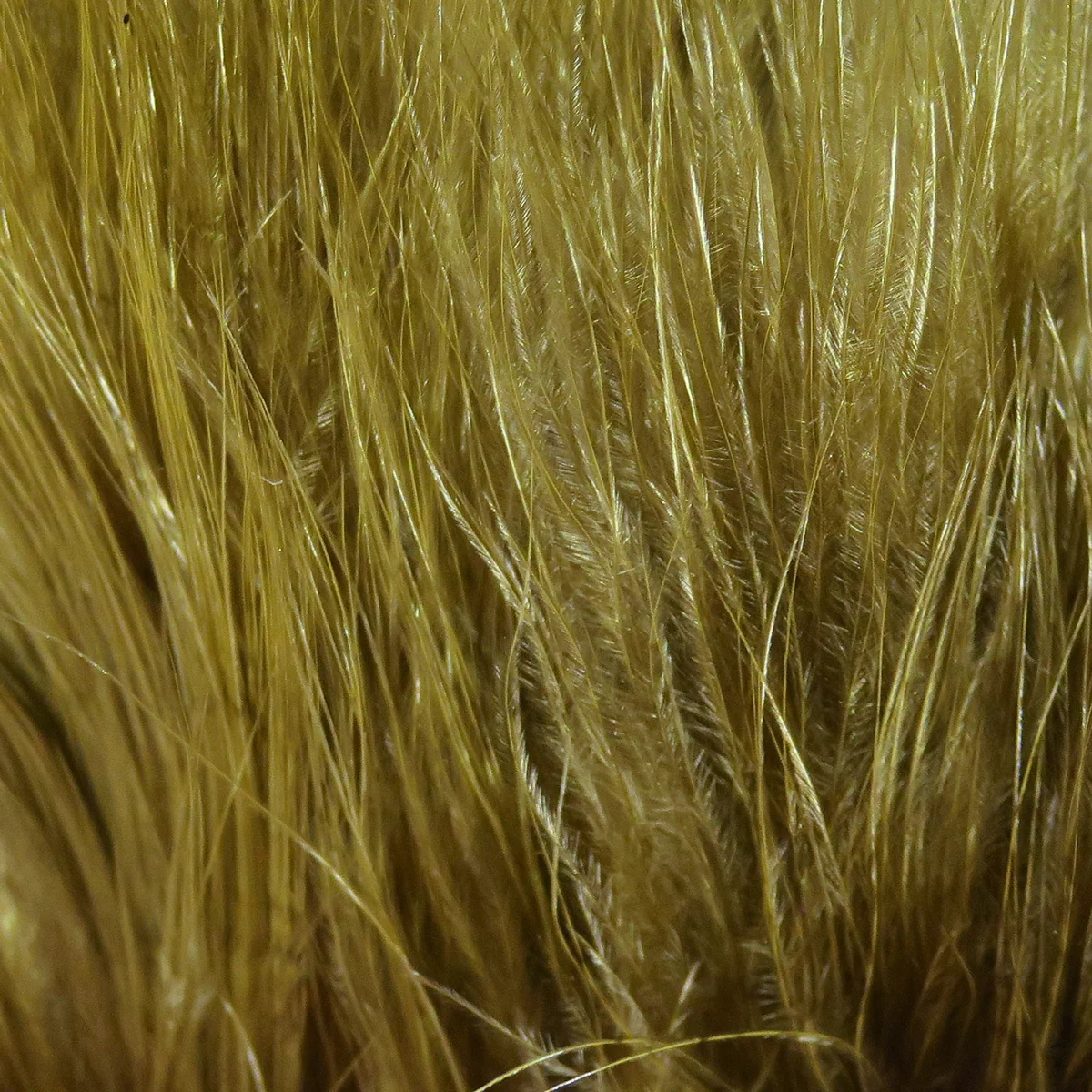 Product image 97